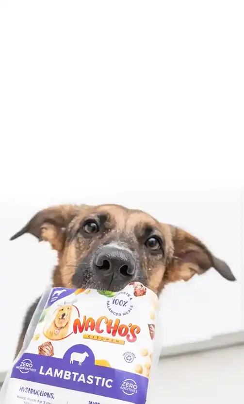 Dog food delivered discount to your door